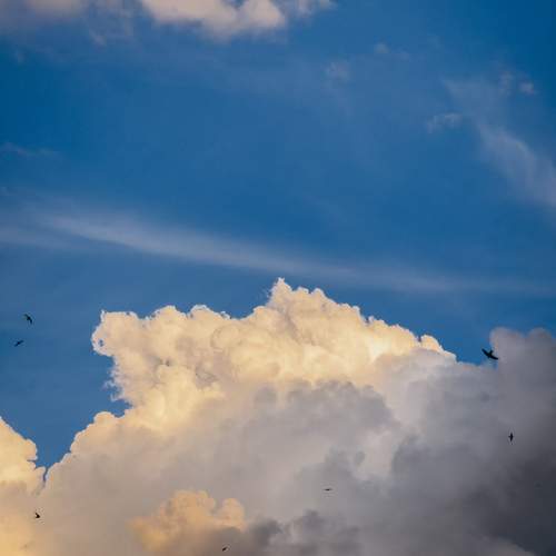 Photo #13741762