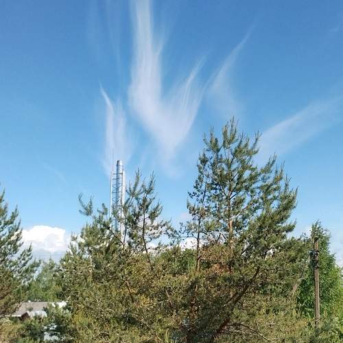 Photo #13741768