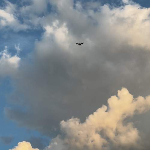 Photo #13741770