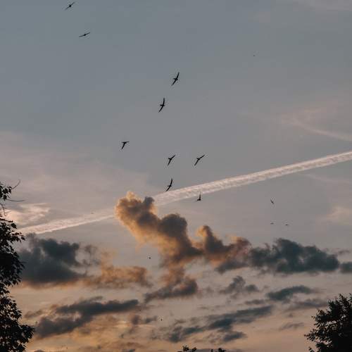 Photo #13741771