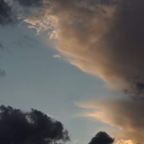 Photo #13741774