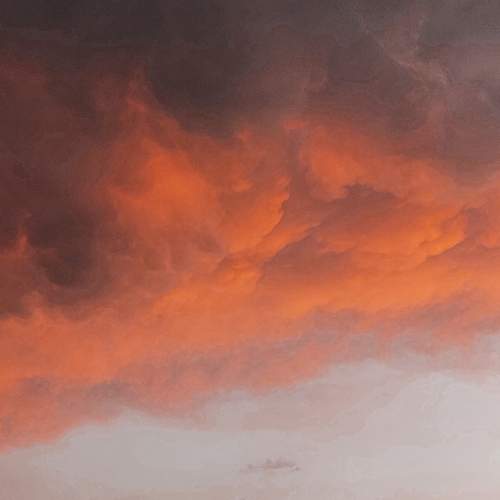 Photo #13741818