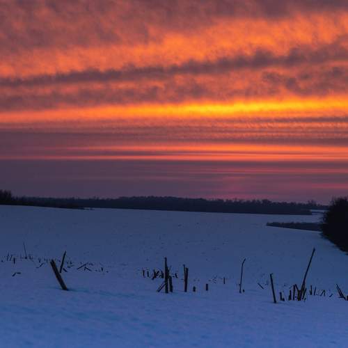 Photo #13741822