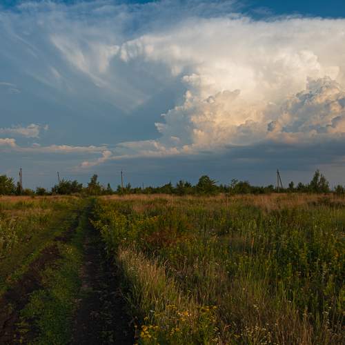 Photo #13741828