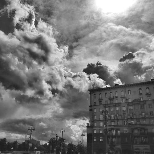 Photo #13741854