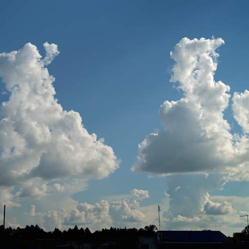 Photo #13741863