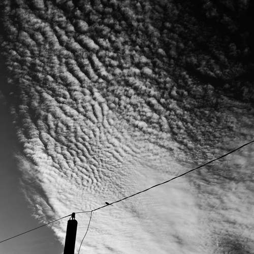 Photo #13741926