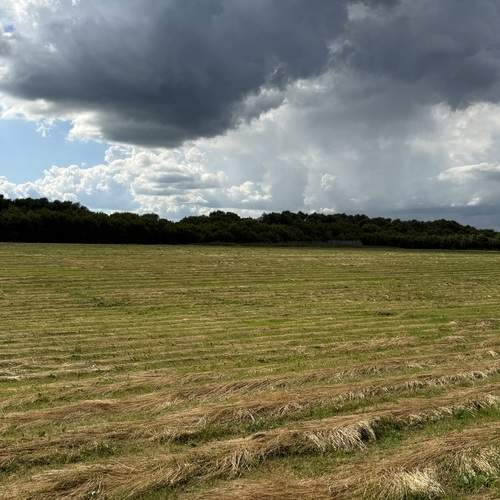 Photo #13741985