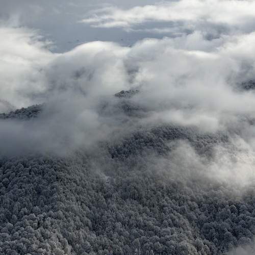 Photo #13742000