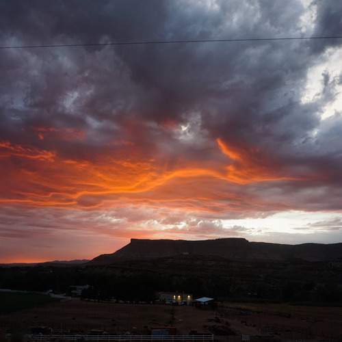 Photo #13742014