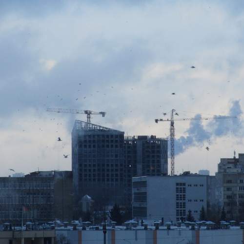 Photo #13742026