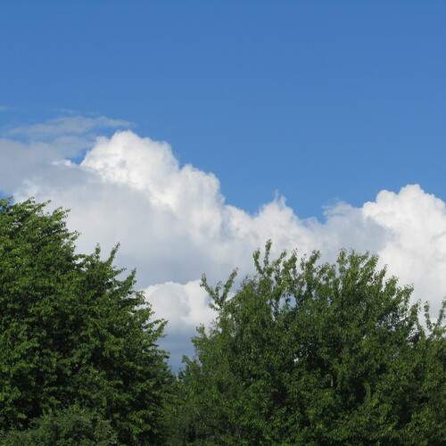 Photo #13742027