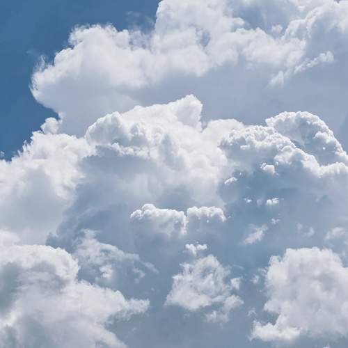 Photo #13742036