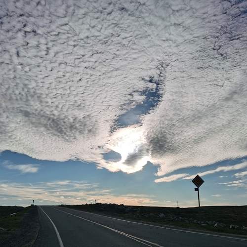 Photo #13742041