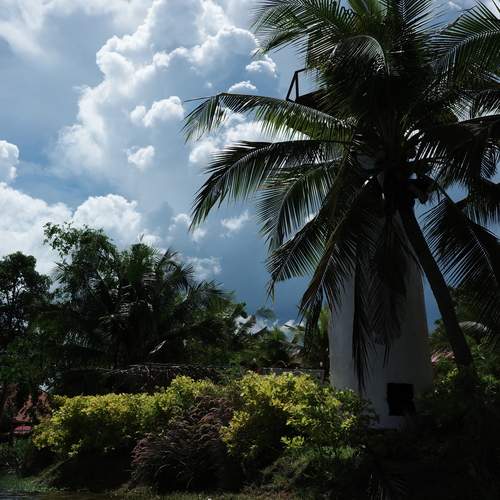 Photo #13742042