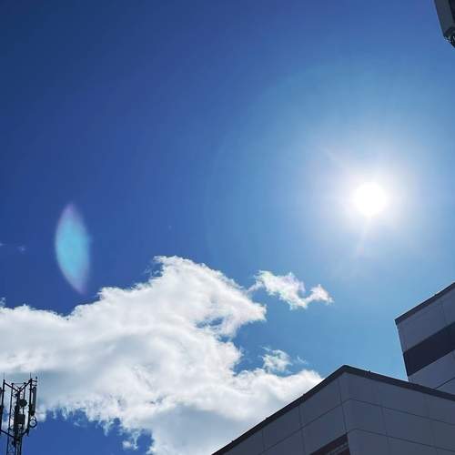Photo #13742055