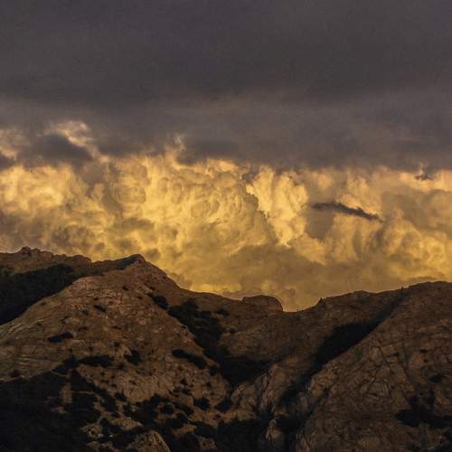 Photo #13742079