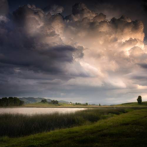 Photo #13742133