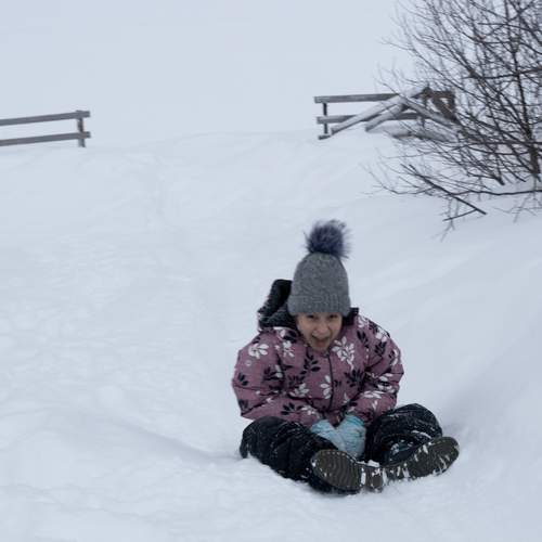 Photo #13742150