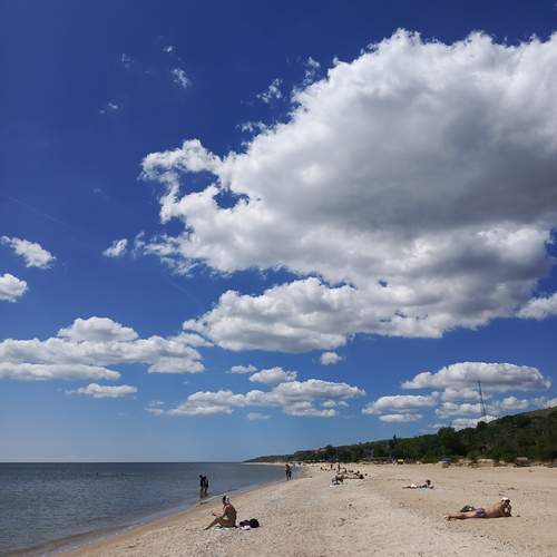 Photo #13742184
