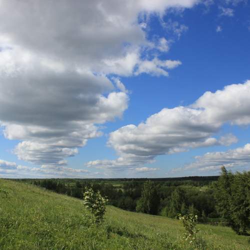 Photo #13742214