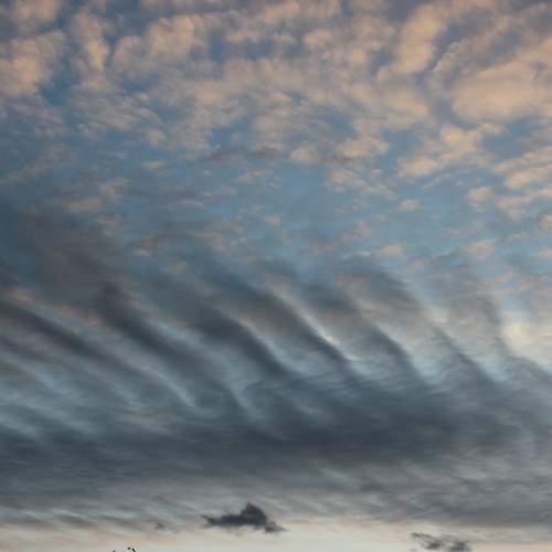 Photo #13742219