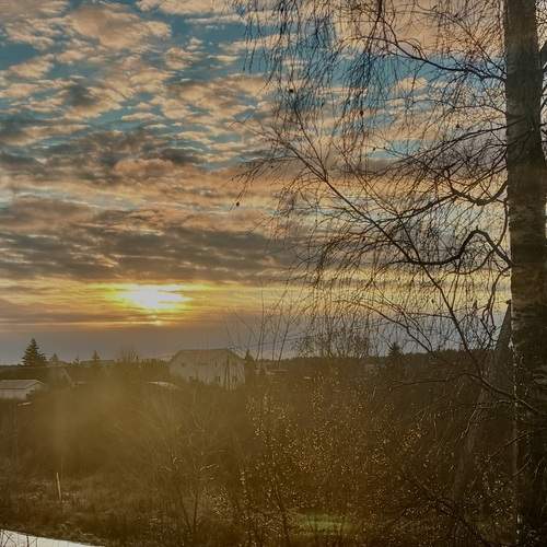 Photo #13742221