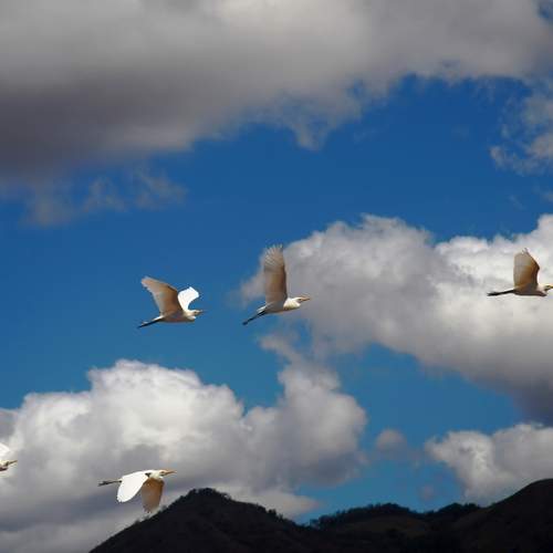 Photo #13742231
