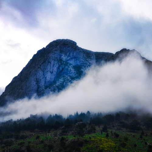 Photo #13742232