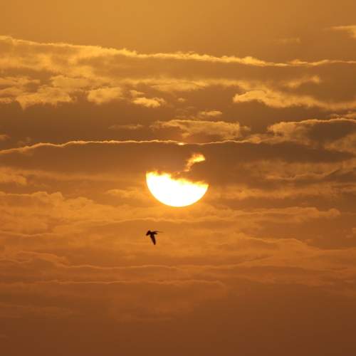 Photo #13742236