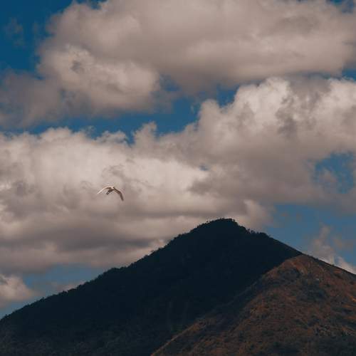 Photo #13742237