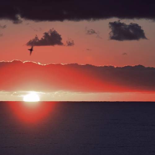 Photo #13742240