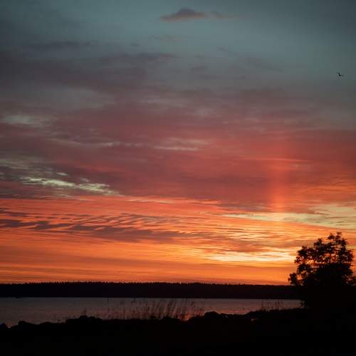 Photo #13742287