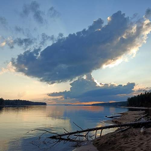 Photo #13742290