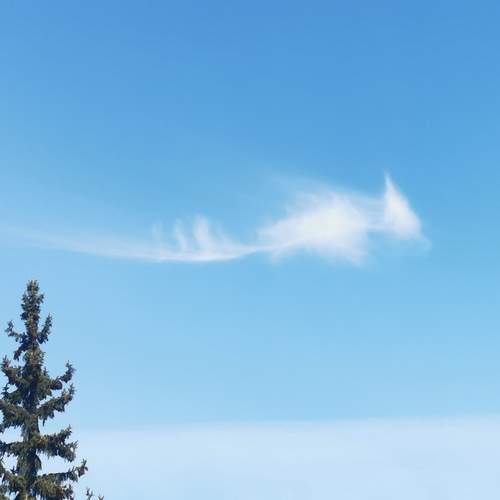 Photo #13742314