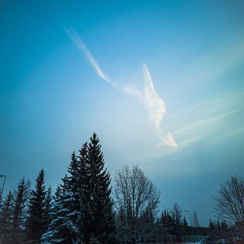Photo #13742315