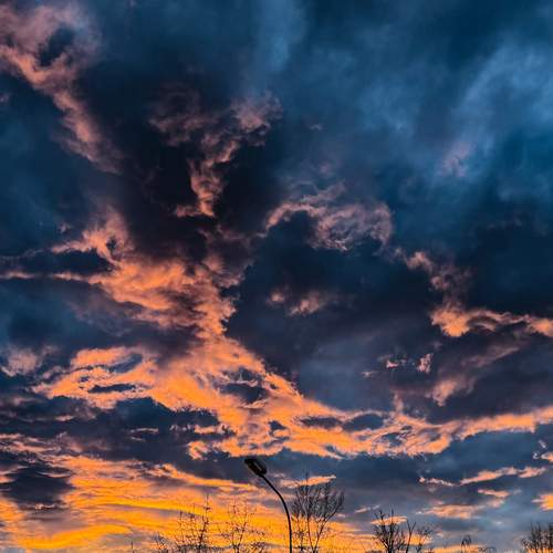 Photo #13742317