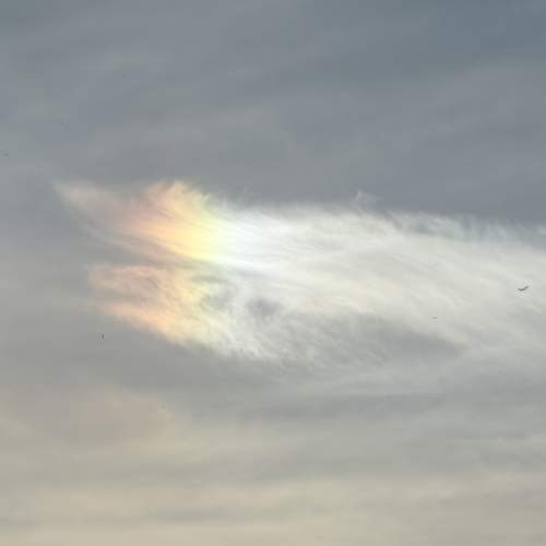 Photo #13742321