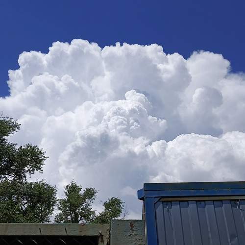 Photo #13742338