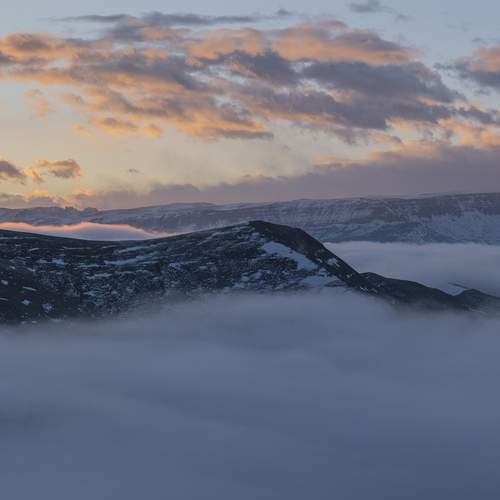 Photo #13742384
