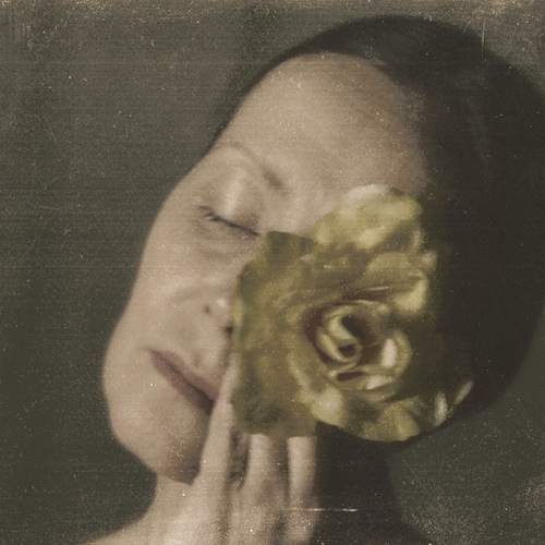 Photo #13742405