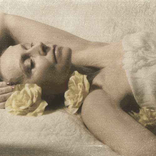 Photo #13742406