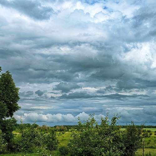 Photo #13742418