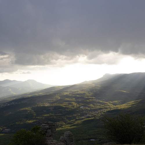 Photo #13742419