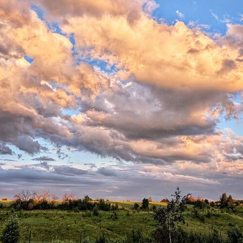 Photo #13742422