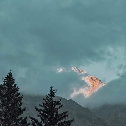 Photo #13742426