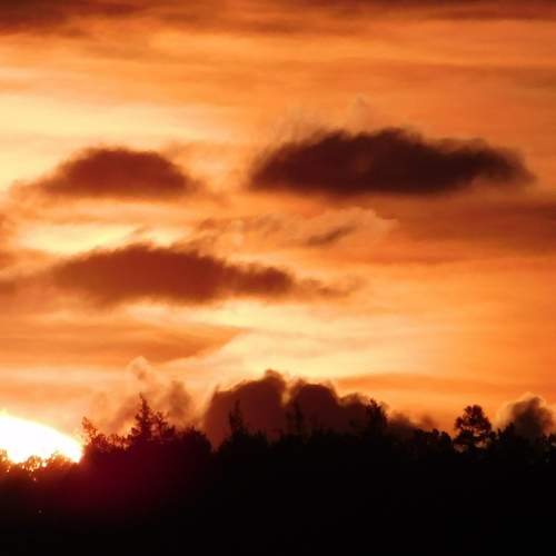 Photo #13742427