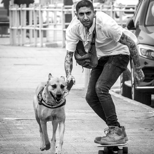 Photo #13742432