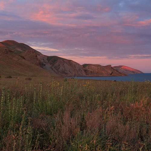 Photo #13742437