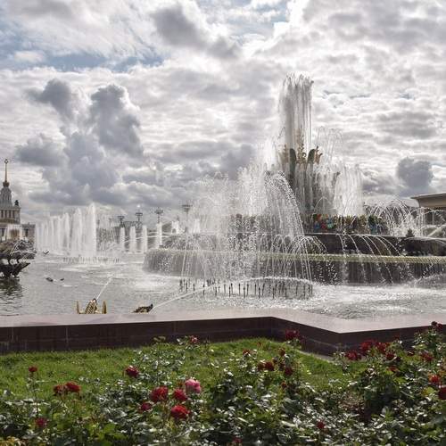 Photo #13742531
